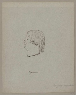 Bildnis des Robert Schumann