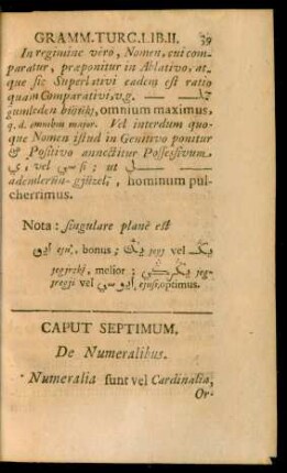 Caput Septimum. De Numeralibus.