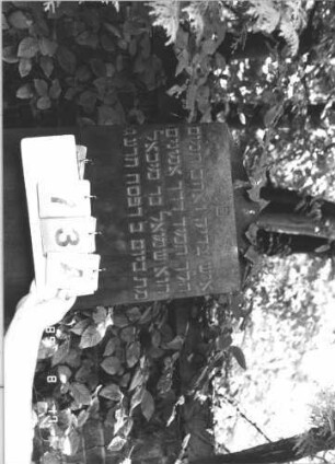 Grabstein 73 (Index: 100108952) Material: polierter Granit auf Granit Zustand: sehr gut Maße HxBxT: 187x52x21 cm Beschreibung: Obelisk, Sockel getreppt Besonderheit: Doppelgrab für Eheleute: Grabstein 73A