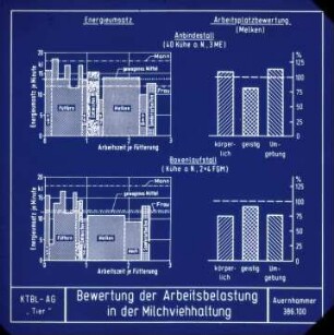 Bewertung der Arbeitsbelastung in der Milchviehhaltung