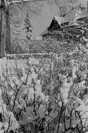 Blick aus einem Garten auf den verschneiten Giebel eines Hauses