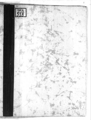 Guarini Veronensis elegia Alda [u.a.] - BSB Clm 918