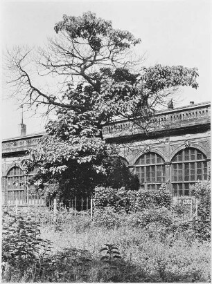 Der Herzogin Garten, Orangerie