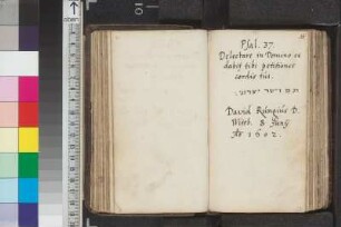 Runge, David; Blatt 16
