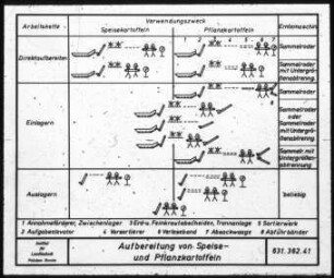 Aufbereitung von Speise- und Pflanzkartoffeln