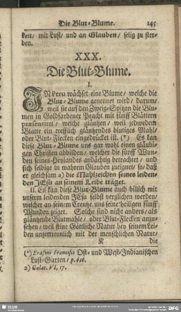 XXX. Die Blut-Blume