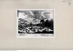Veduta di Campo Vaccino