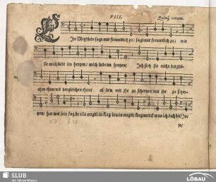 VIII. Ein Megdlein sagt mir freundlich zu
