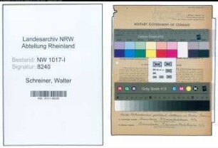 Entnazifizierung Walter Schreiner , geb. 14.09.1894 (Werbeleiter)