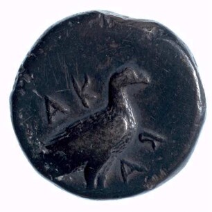 Münze, Didrachme, ca. 500 - 480 v. Chr.
