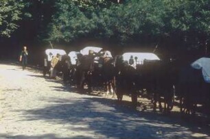 Kutscher und Pferdekutschen am Wegrand