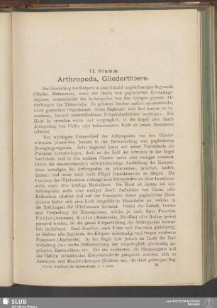 VI. Stamm. Arthropoda, Gliederthiere