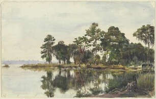 Baumschlag am Wasser, Jacksonville