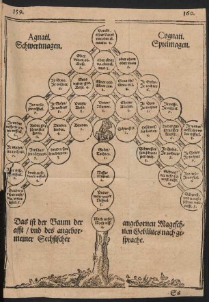 Agnati. Schwertmagen. Cognati. Spielmagen.