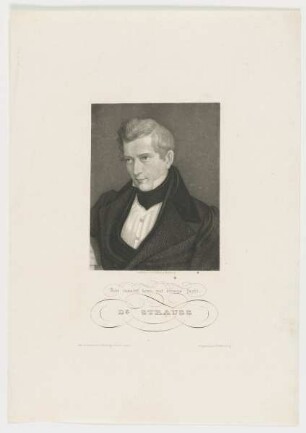 Bildnis des Strauss