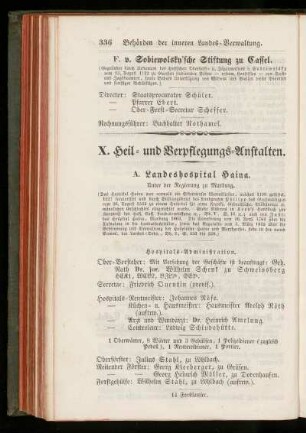 X. Heil= und Verpflegungs=Anstalten.