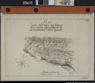 "Plan von den Palsterkamper Forstrevieren im Kleinen Berge, in der Aschendorfer Mark, der Breden, der Oberen und Unteren Denne und Jappen Theil" in der Aschendorfer und Erpener Mark Namen der angrenzenden Besitzer ("Nr. III") Ausf.-Art: Farbige Zeichnung Herst.: Rausch Format: 45 x 66 cm Maßstab: 1 : 3000