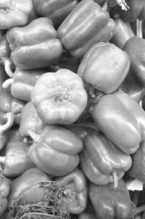 Empfehlung für derzeit preisgünstige Paprika in der Reihe "Tips der Verbraucherberatung"