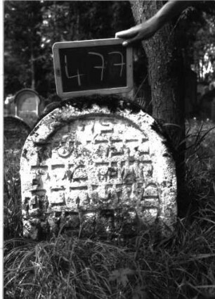 Grabstein 477 (Index: 100102672) Material: Sandstein Zustand: leicht verwittert, eingesunken, teilweiser Textverlust Maße HxBxT: 63x50x14 cm Beschreibung: Stele, Rundbogenabschluss, Schriftfeld eingetieft: Grabstein 477