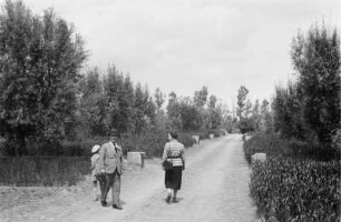 Plantagenansicht : Personen auf einem Plantagenweg