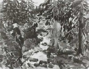 Gebirgsbach I