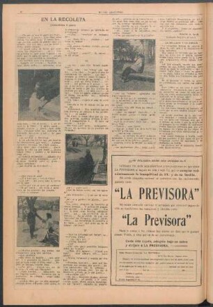 La belleza y la gracia
