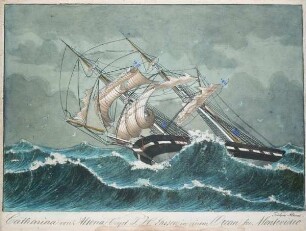Brigg CATHARINA