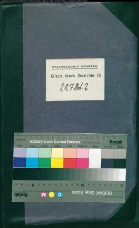 Hypothekenbuch des Kirchspiels Welver (Ehningsen, Flerke, Klotingen, Loh, Meyerich, Recklingsen, Welver) Bd. 2