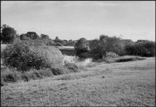 Die Leine [Fluss] bei Seelze