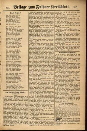 Zweite Ausgabe vom Dienstag, den 01. Januar 1895.