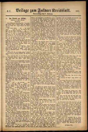 Zweite Ausgabe vom Donnerstag, den 07. Februar 1901.