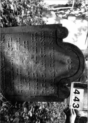 Grabstein 443 (Index: 99803723) Material: Sandstein Zustand: verwitt/eingesunk/Textverlust Maße HxBxT: 78x63x9 cm Beschreibung: Stele mit eingezog. Ruindbogen, profiliert. Rand, Seitenakroterien Symbolik: Seitenakroterien: Grabstein 443