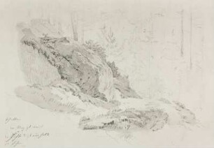 Waldweg