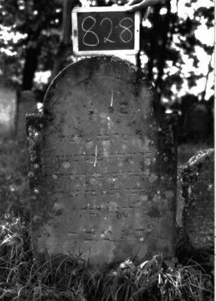 Grabstein 828 (Index: 100102897) Material: Sandstein Zustand: angewittert Maße HxBxT: 103x60x10 cm Beschreibung: Stele, eingezogener Rundbogenabschluss, Schriftfeld eingetieft mit Konvexbogenabschluss: Grabstein 828