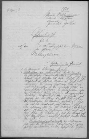 Metternzimmern: Pfarrbericht 1924
