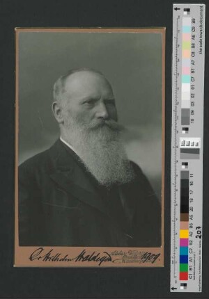 Wilhelm Waldeyer
