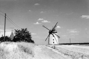 Falkenhain-Voigtshain. Blick zum Turmholländer