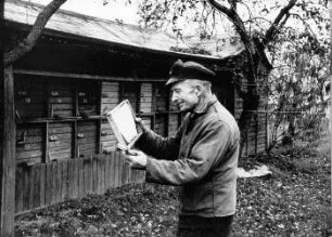 Bienenzucht in Mühlrose : Handwerkstechniken - Bienenzucht und Wachszieherei. Ort: Miłoraz / Mühlrose. Imker bei seinen Bienenstöcken