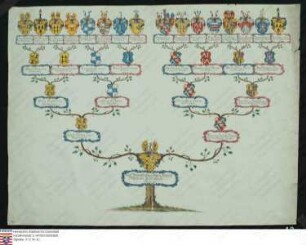 Ahnenprobe der Karl, Philipp Christoph Johann Heinrich und Wilhelm v. Breidenbach, Pergament
