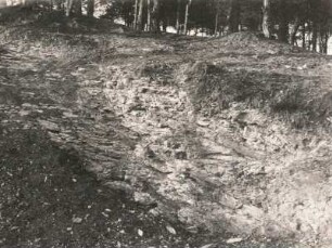 Dresden-Trachenberge. Plänerschichten am Heller
