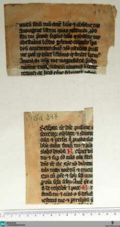 Officium defunctorum, Fragment - Cod. Aug. Fr. 64