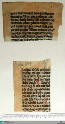Officium defunctorum, Fragment - Cod. Aug. Fr. 64