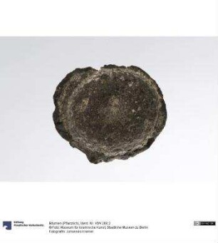 Bitumen (Pflanzlich)