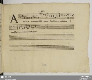XXI. Anonymus: Ave Maria gratia plena