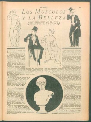 Los músculos y la belleza : ¿Hay evolución en el tipo de la belleza humana?