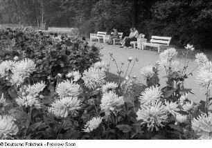 Blumenbeet im Clara-Zetkin-Park