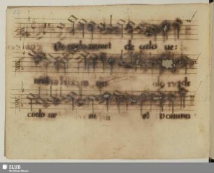 Anonymus: De caelo veniet dominator Dominus
