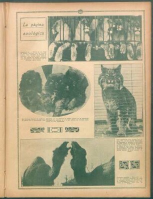 La página zoológica