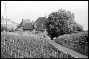 Lutry: Weingut bei Lutry