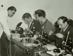 Mikroskopieren, Meißen Hochschule Biologieunterricht
